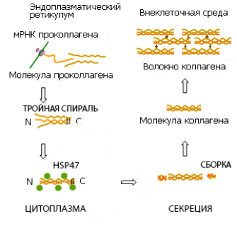 Рисунок6.png